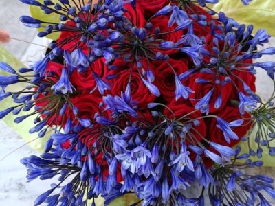Στο Floral Events στον Βόλο, ο Μάξιμος Ζάντζος δημιουργεί ανθοστολισμούς-έργα τέχνης
