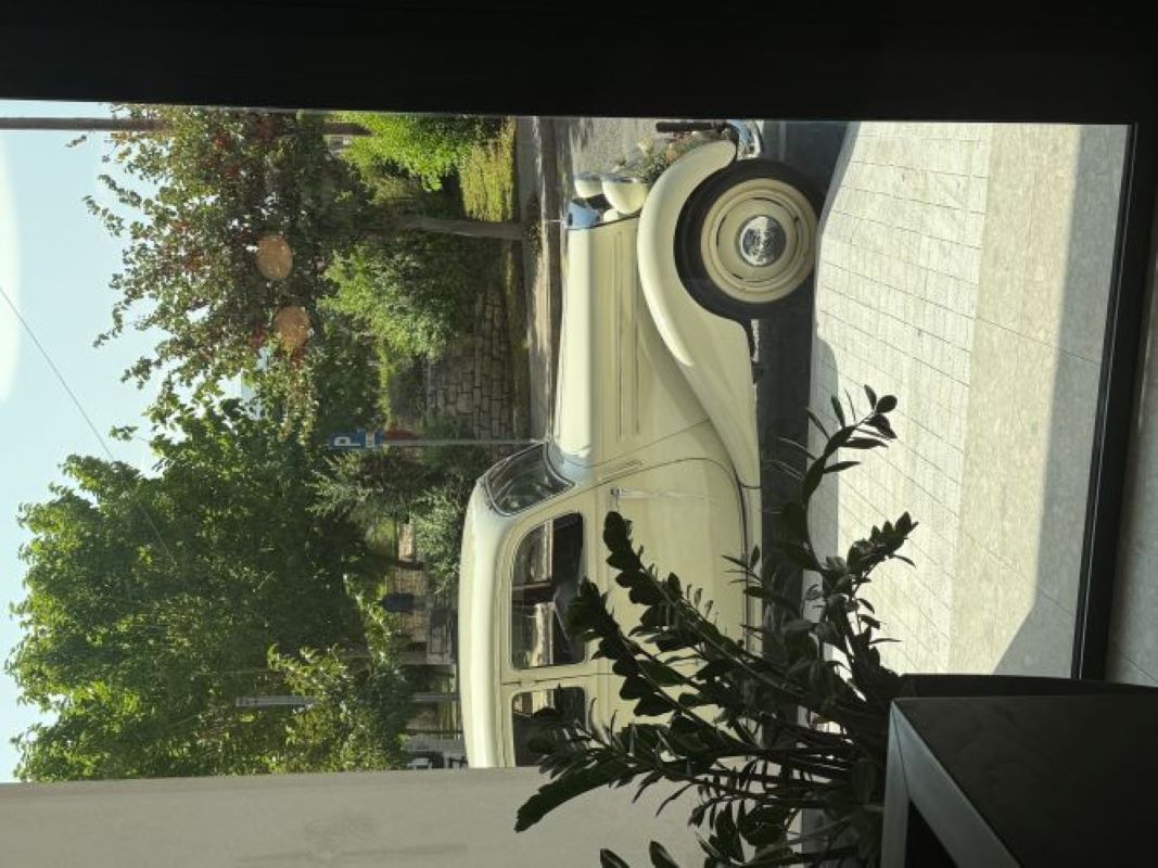 11 car