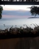 Punta Playa Andros
