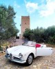 Gold Wedding Cars