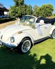 Gold Wedding Cars
