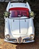 Gold Wedding Cars