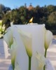 Flowers Art